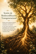Sesión Biodescodificación transgeneracional